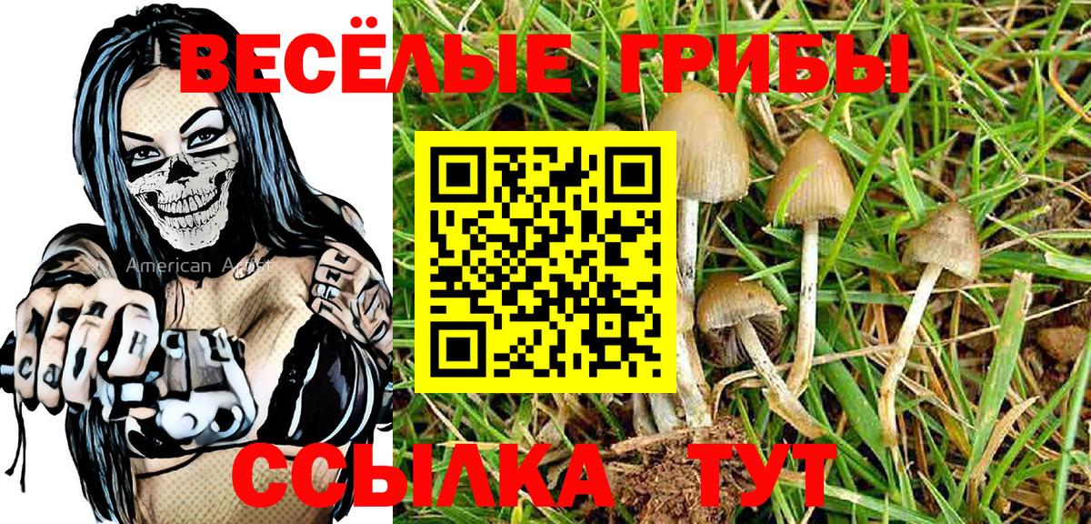 Галлюциногенные грибы мицелий  Вход с VPN  Котлас  Псилоцибиновые грибы MAGIC MUSHROOMS 