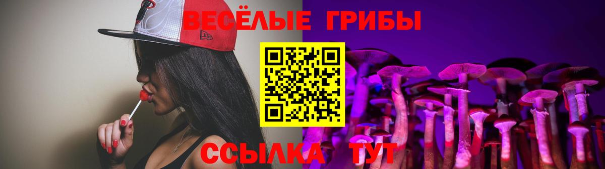 Галлюциногенные грибы ЛСД Котлас